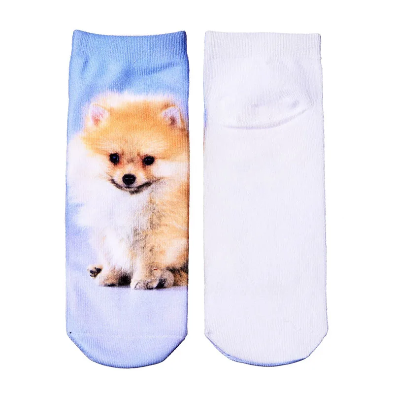 HTB1mmlCOXXXXXcBaXXXq6xXFXXX0