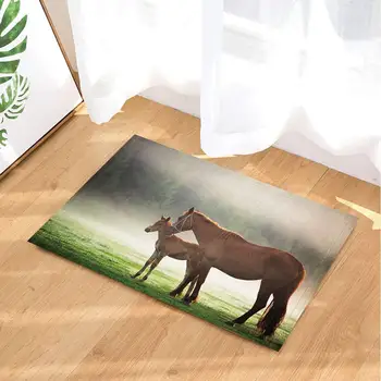 

Animal Rugs Horse In Prairie Foggy Weather Local Flavor Non-Slip Doormat Entryways Indoor Front Door Mat Kids Mat