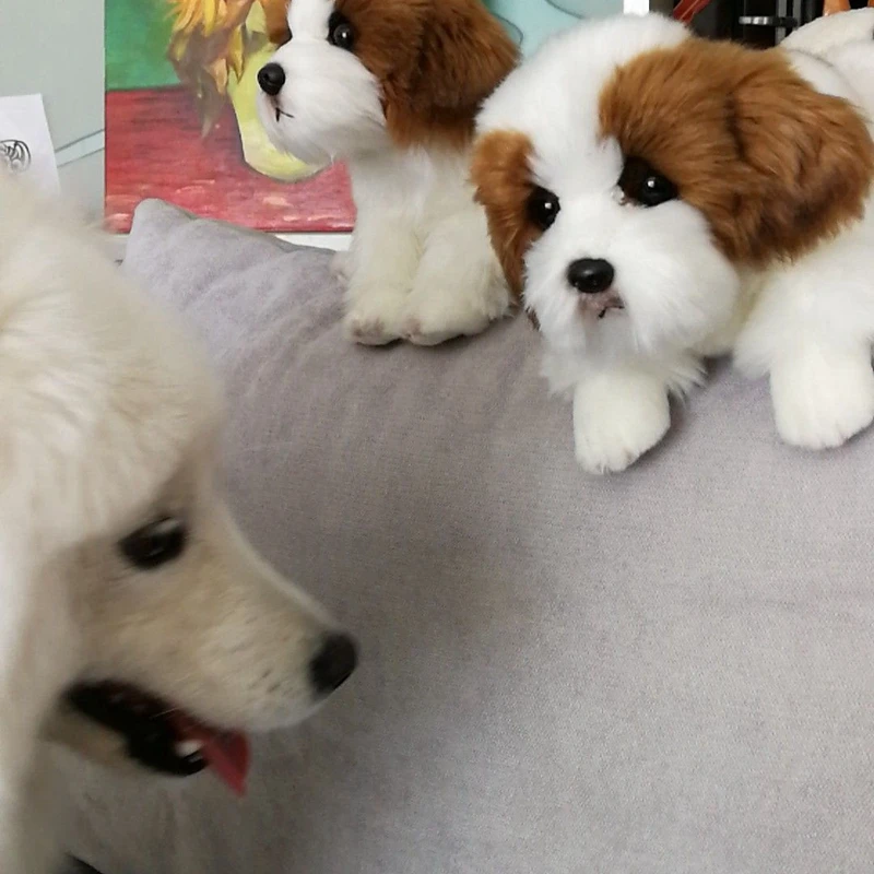 Dorimytrader quality soft animal lying poodle plush toy stuffed animals squatting  dog pekingese dogs doll kids gift car decoration DY50146 (12)