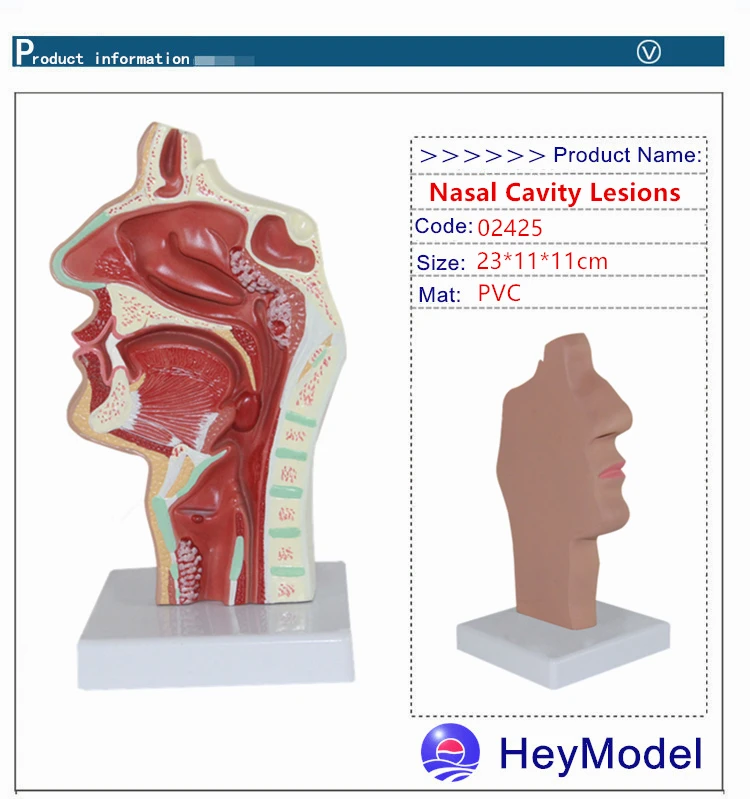 Heymodel носовые поражений