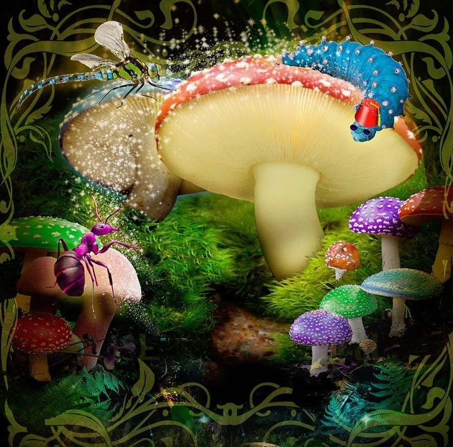 Alice Wonderland Bugs Mushroom Forest Backdrops High Quality Computer Print Children Kids Background Backgrounds Aliexpress