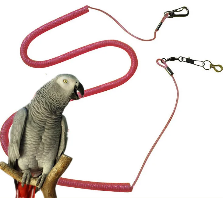 the parrot flying rope steel core copper foot ring bird with out the