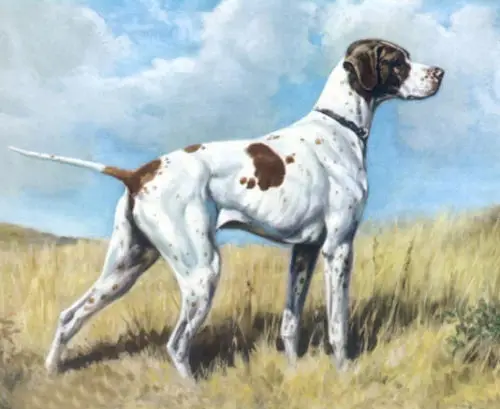 Pointer Dalziel British Dogs Edwin Megagee Oil Painting Hunting Season Landscape