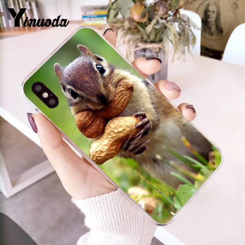Yinuoda для iPhone 7 Чехол мобильного телефона с изображением белки пить воду зеленая