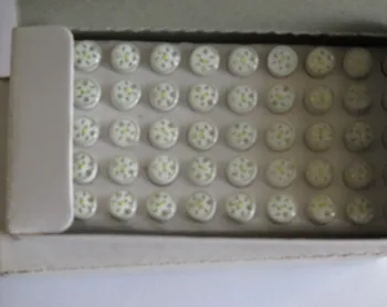 

CE Approval High Brightness 10mm White BA9S 380V 220V 110V 48V 24V 12V 6.3V LED Bulb Light Head Mini Indicator Polit Light