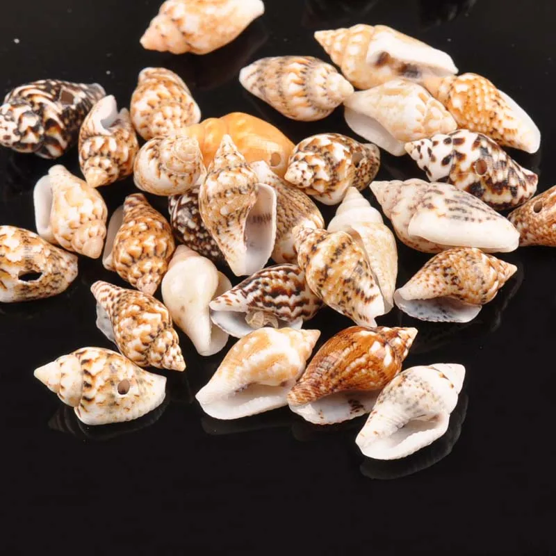 Natural Shells Seashells Striped 7-13cm Conch Shell Ornament Decor DIY Craft 