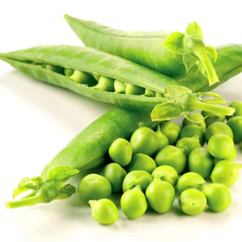 

Beans Pea bonsai Of Vegetable bonsai Of Vegetables To Help Warm To Cold 10pcs