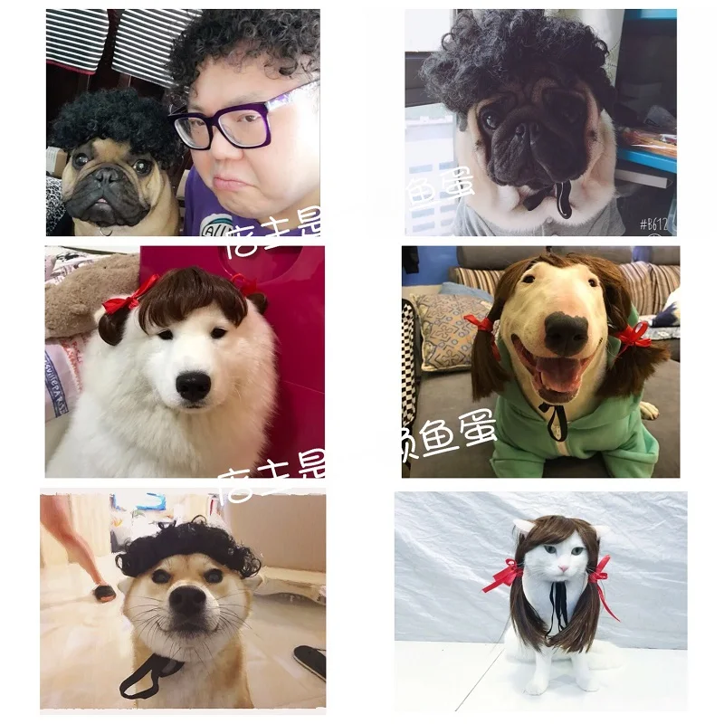 TB2AYoKiW8lpuFjy0FpXXaGrpXa_!!1065846492