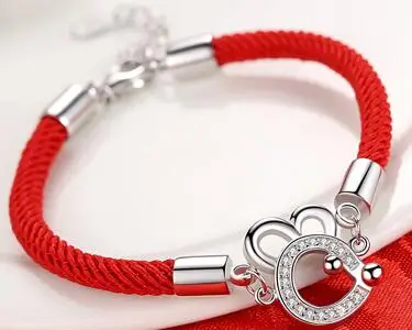 

Bracekoor 2019 trendy animal girl Pu Leather stainless steel bracelets Women Waven red animal Rope chain female jewelry