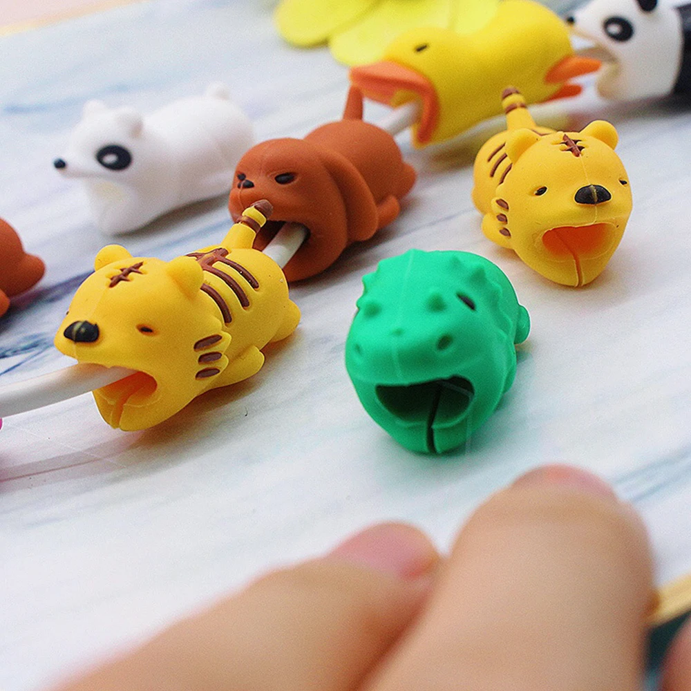 10132825184_1397344902