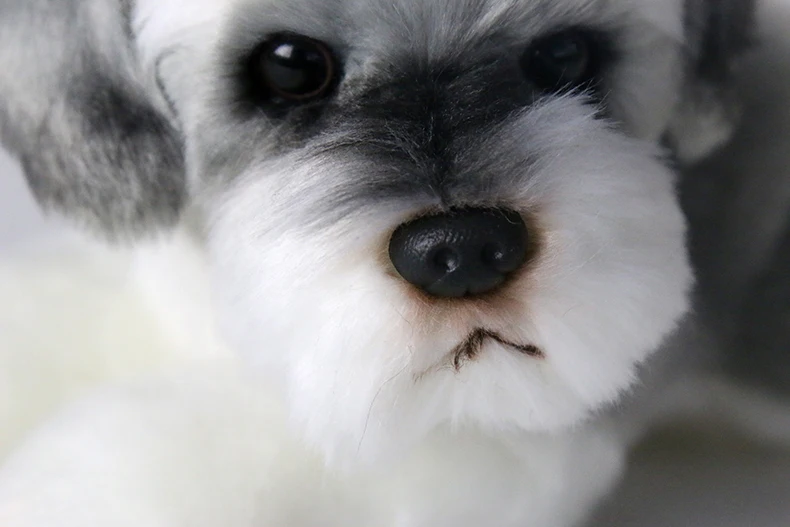Lebensechte Plüsch Schnauzer Hund Welpenspielzeug Realistische Puppe Tiere O0G6 