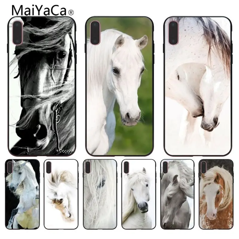 Maiyaca Hot Kuda Wallpaper Lucu Berwarna Warni Untuk Iphone 8 X Xs
