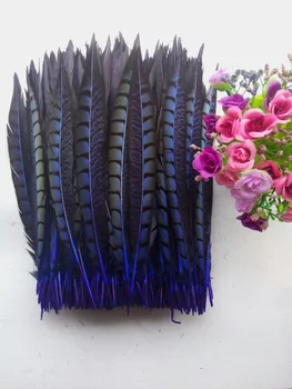 

Free shipping sell high quality Royal blue 50pcs Lady Amherst Pheasant feathers, 9-11 "/ 23-28cm diy jewelry decorative props