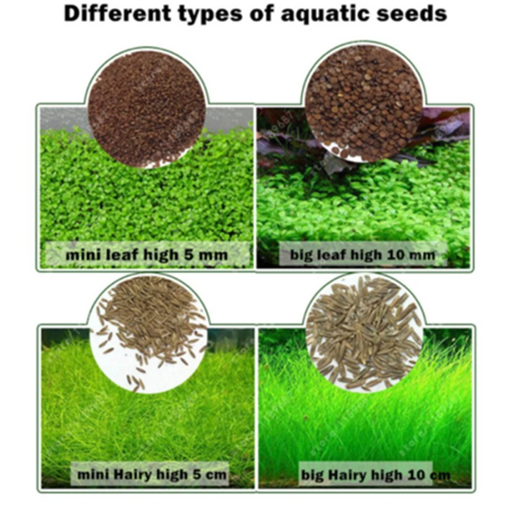 5 мешков семена травы для аквариума водный для воды Зеленый бонсай украшение неприхотливое растение аквариум Крытый для живых растений пейзаж декоративный
