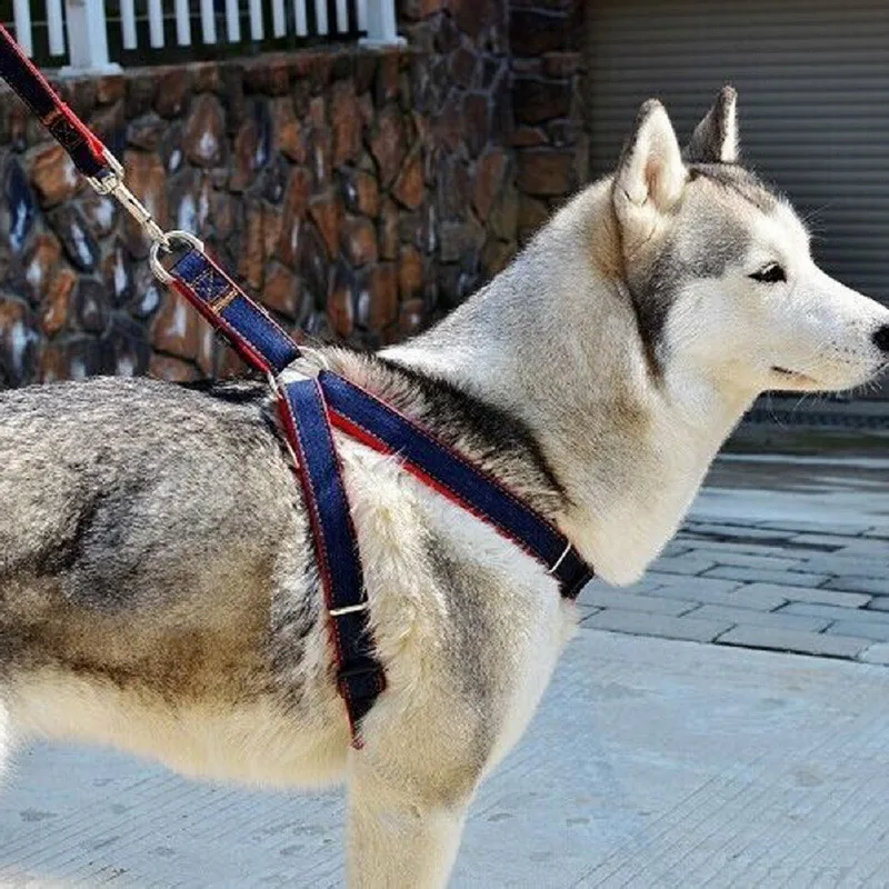 2017 Pet Supplies Puppy Dog Harness Collar Leash Set Adjustable Jeans Denim Traction Belt for Training Walking Products|collar leash set|dog harness