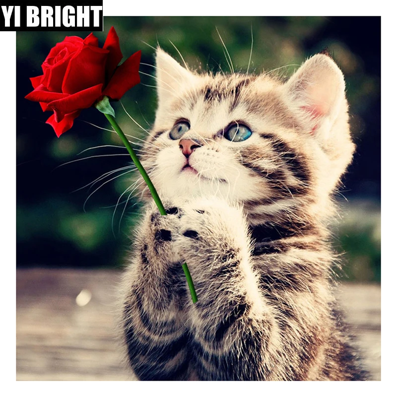 

5D diy Diamond Embroidery Handmade"cat" Knitting Set diamond painting full square Mosaic House Living Room Decoration XPZ