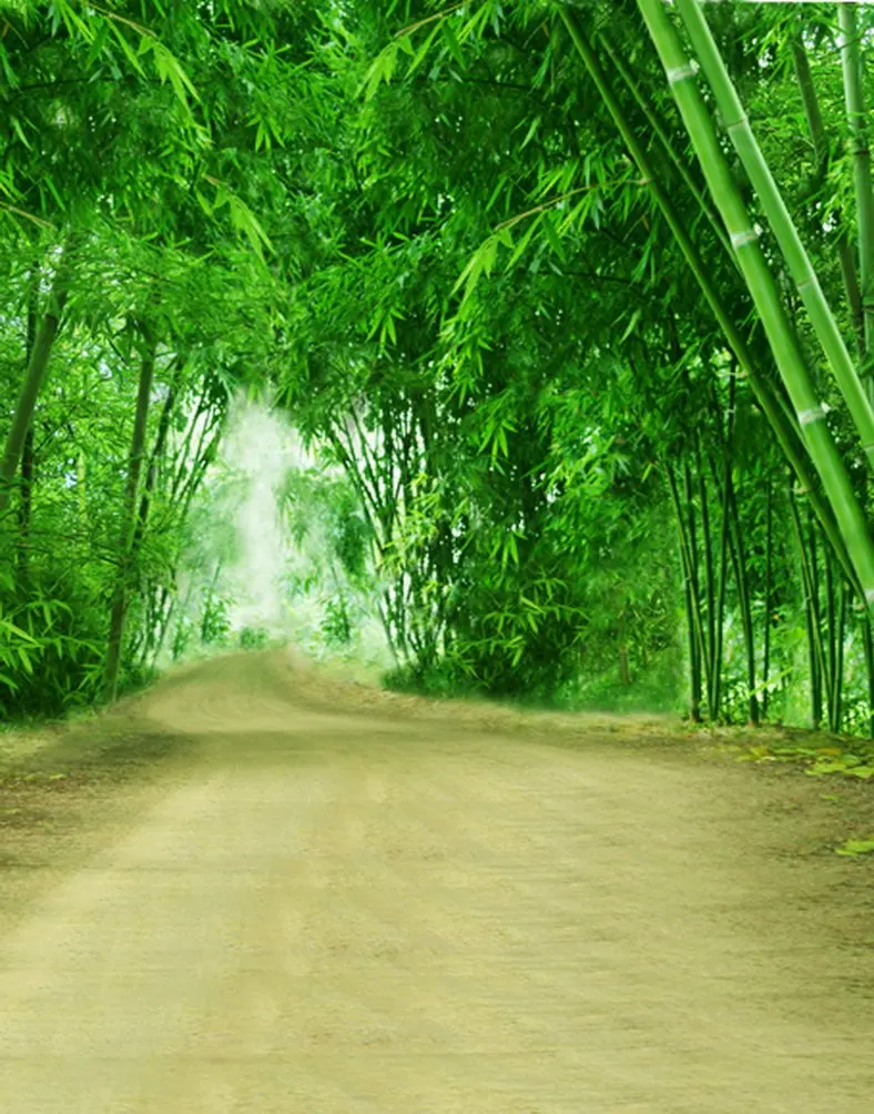 Дорожный зеленый бамбуковый фон для фотосъемки реквизит для фотостудии 5x7ft