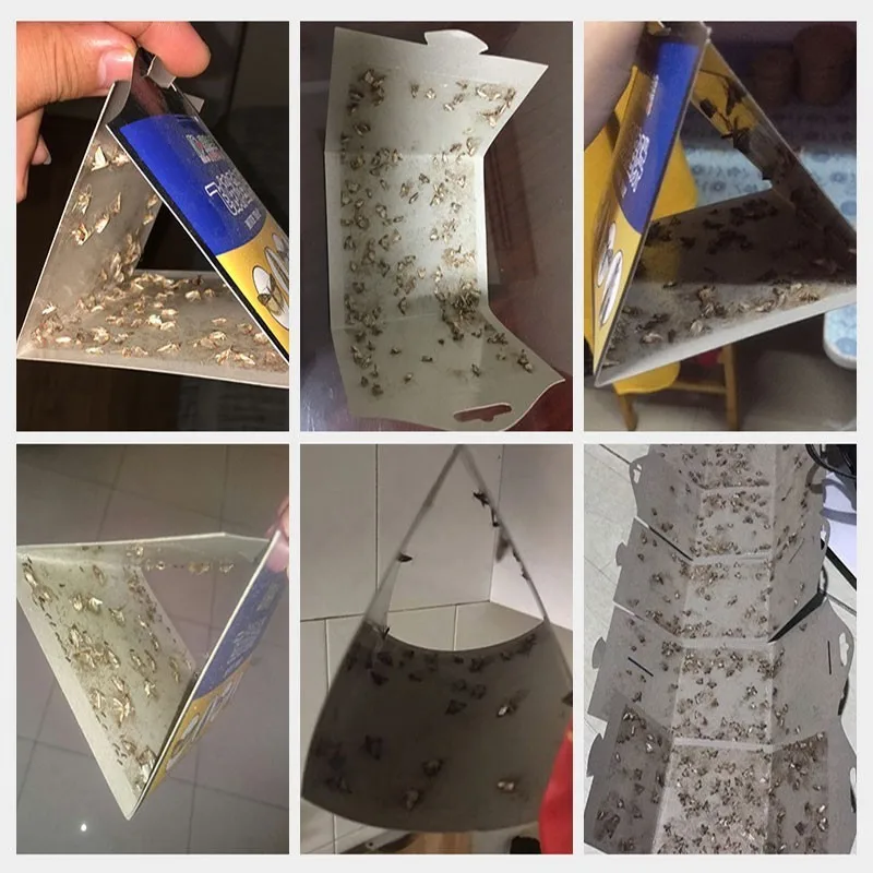 5PCS Effective Fly Moth trap Pest Control Moth killer Mole Repeller Pest Reject Fly Trap Insects Family Factory Restaurant 5PCS Effective Fly Moth trap Pest Control Moth killer Mole Repeller Pest Reject Fly Trap Insects Family Factory Restaurant