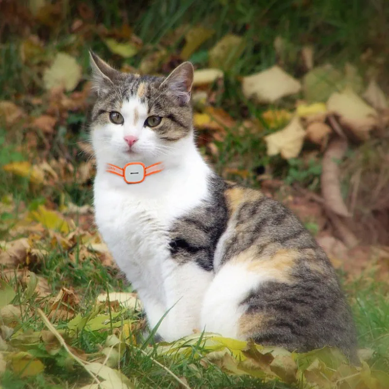 Mini Cat Dog Pet GPS Tracker Waterproof 2160 Hours Standby GSM GPRS Tracking Locator With SOS Alarm System Tracking Device