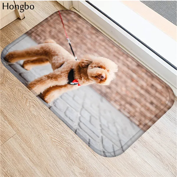 Hongbo, Новые Креативные коврики, моющиеся, смешная собака, коврик для двери, коврики для ванной, коврик для ног, домашний декор, коврики для ванной, дверной коврик, напольный коврик - Цвет: 17