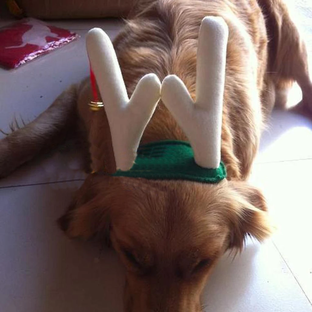 decorative adorable dog puppy cat christmas reindeer stores open at christmas day