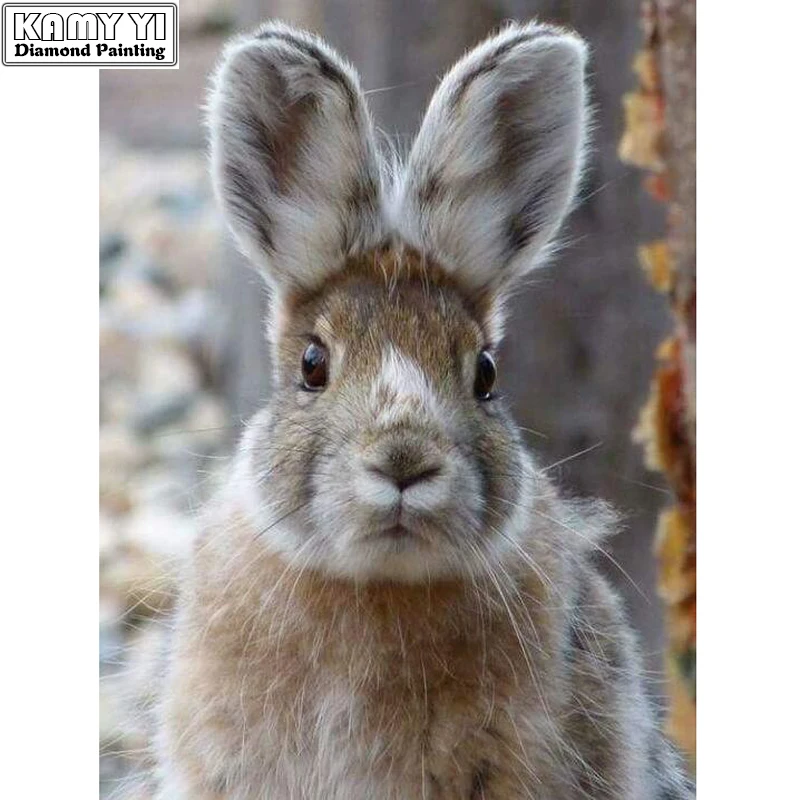 100% Full 5D diy Daimond Painting Cross-stitch A Lovely Rabbit 3D Diamond Round Rhinestones Paintings Embroidery |