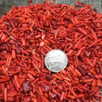

Wholesale Red Natural Coral Crystal Red Stones Rock Mineral Specimen Planting Aquarium Fish Tank Decor Stone Crafts