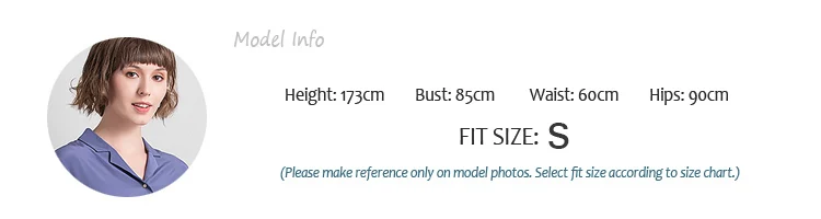 MODEL INFO S