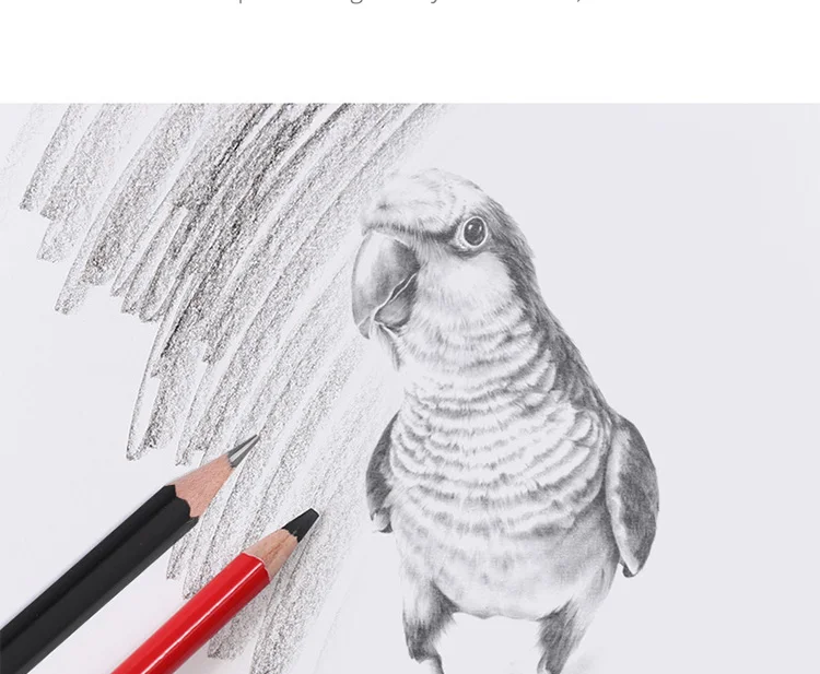 xq_08