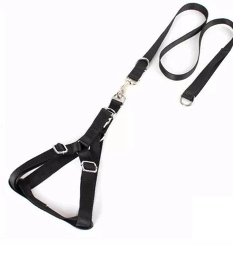 dog training leash (3)