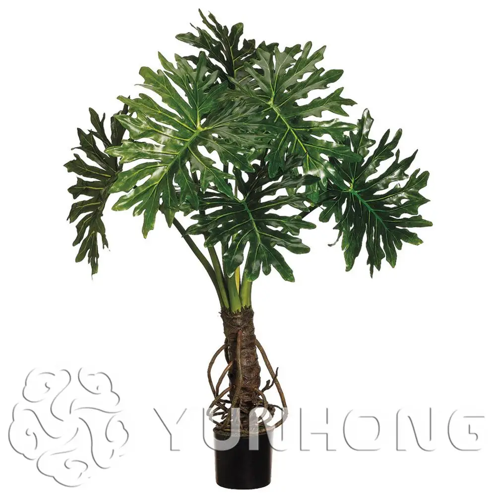 100% Genuine Rare 100pcs 10kinds mix Philodendron Bonsai, vine leaf, indoor plants Anti Radiation Absorb dust tree Bonsai