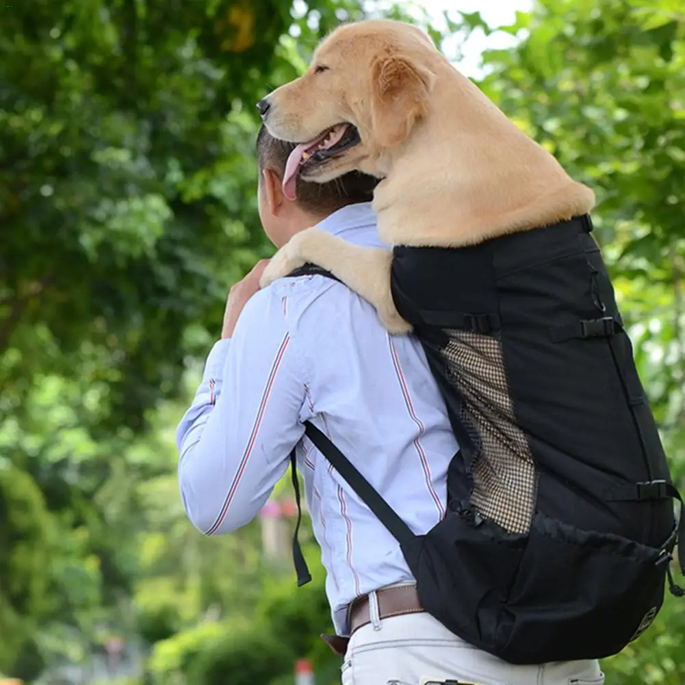 

Fashion Pet Backpack Oxford Cloth Outdoor Cat And Dog Outcrop Bag Breathable Shopping Cycling Carrying Pet Bag Waterproof