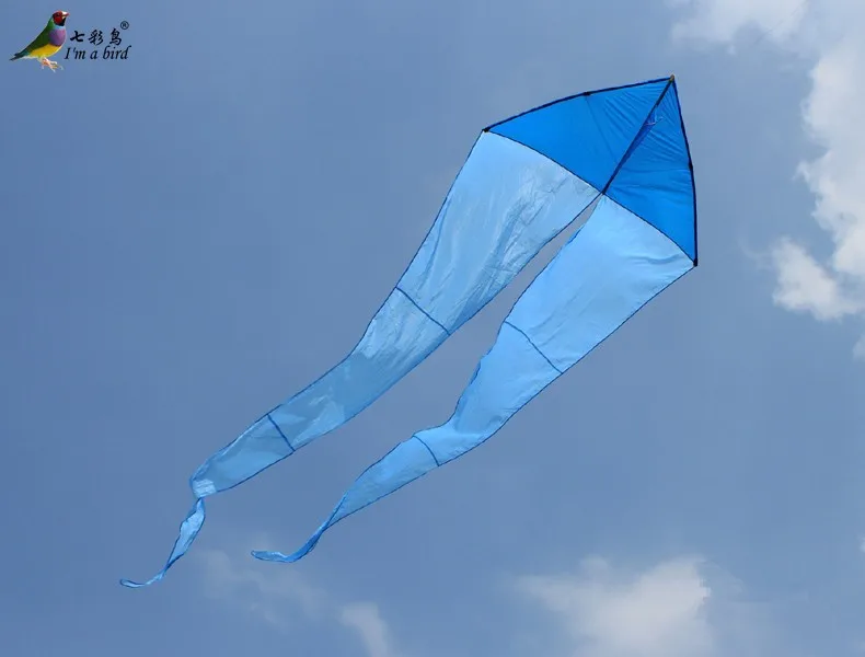Y7