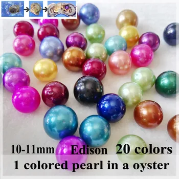 

pearl oyster free shipping 10-11mm giant Colored Edison round grade AA pearl in oyster with vacuum packing 6 oysters 01