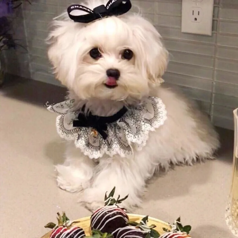 TB2q8knXO6guuRkSnb4XXbu4XXa_!!200726306