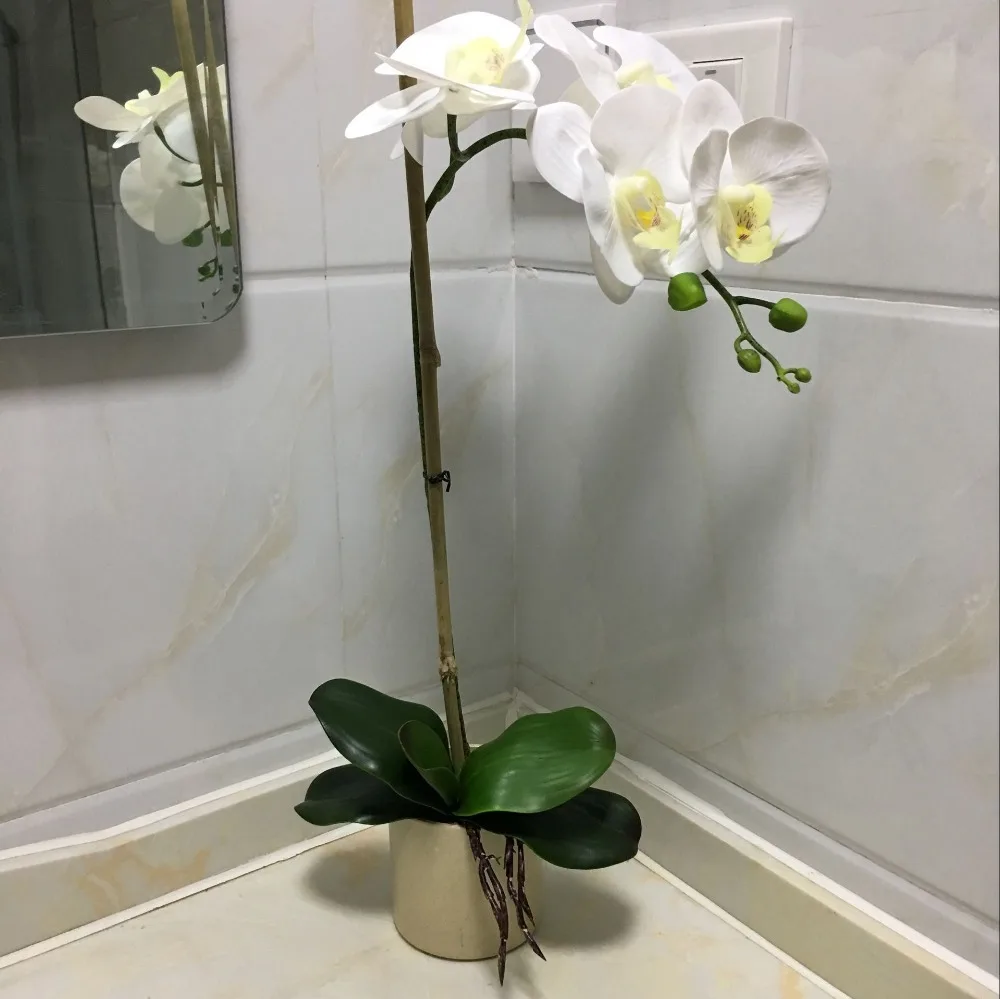 QQ20180120153523