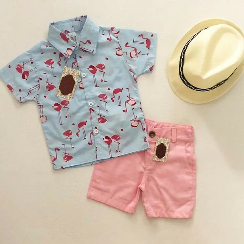 2 Pieces Short sleeve Flamingo Print Shirt and Shorts Set For Toddler Boy Clothes | Детская одежда и обувь