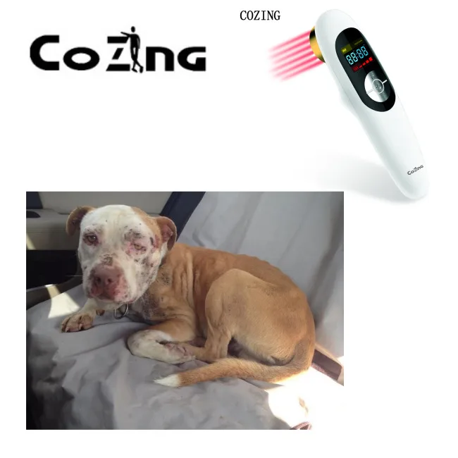 

COZING hot sale portable relief joint pain version home treatment instrument