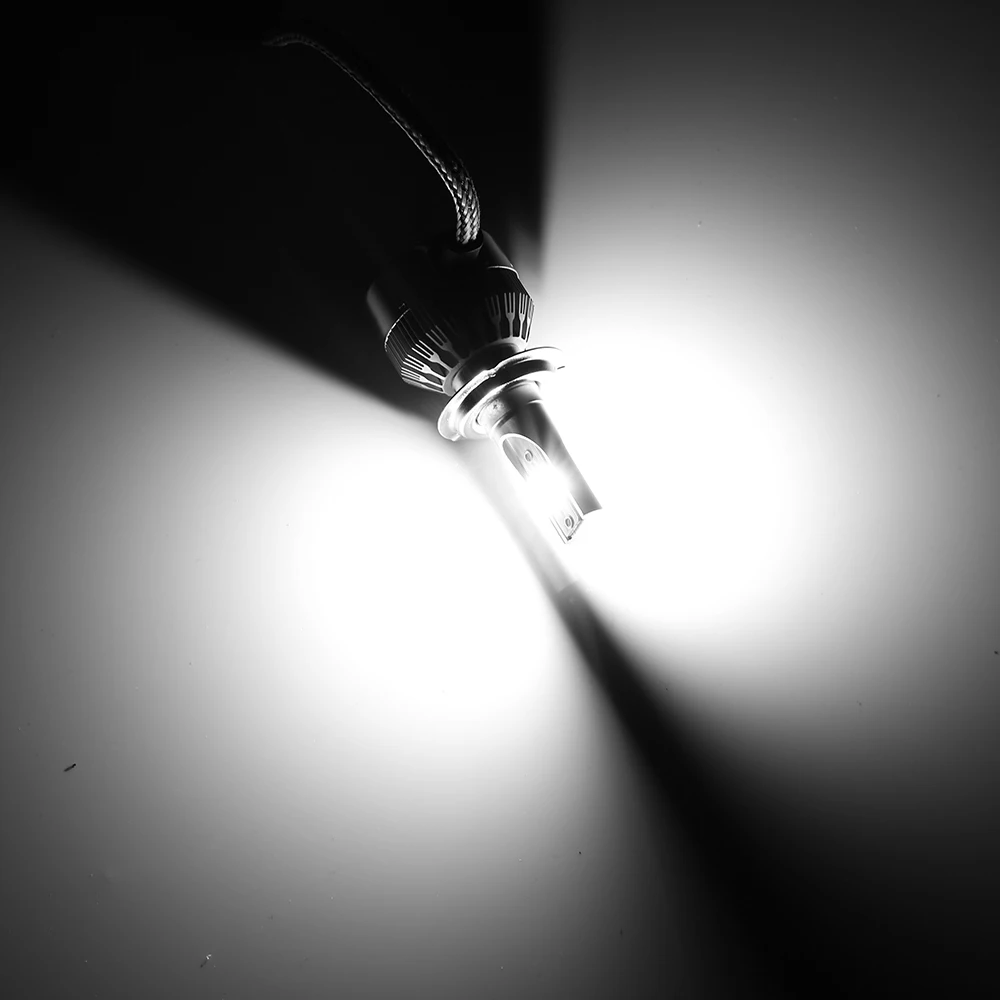 H7 (3)