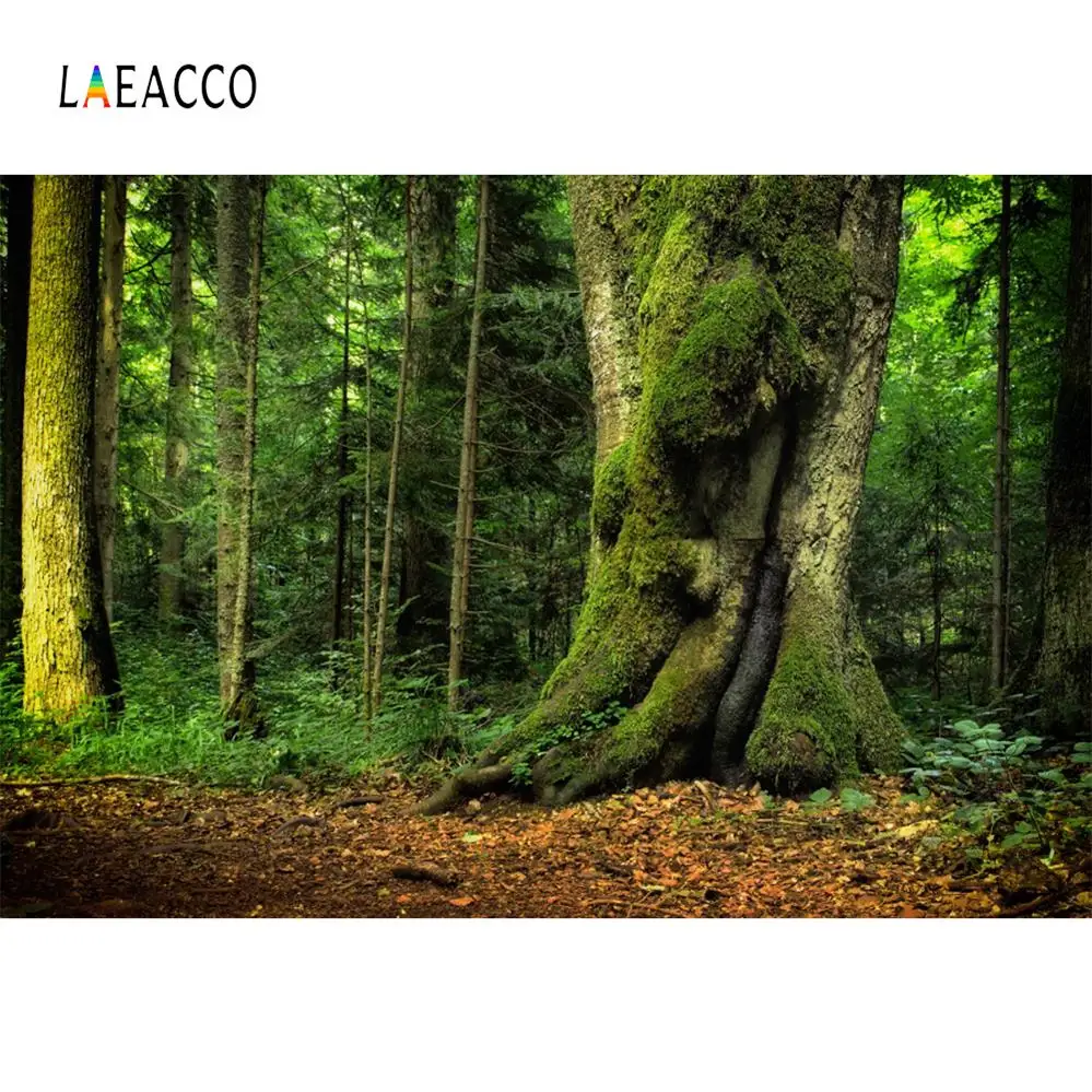 Светло-голубой Laeacco тропический дождь лес зеленый мох трава портрет фото фоны Индивидуальные фотографии фонов для фотостудии - Цвет: Светло-голубой
