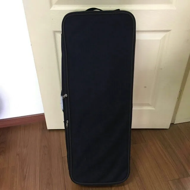 VIOLA CASE 2