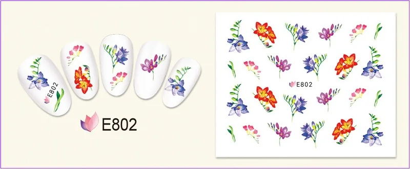 E802