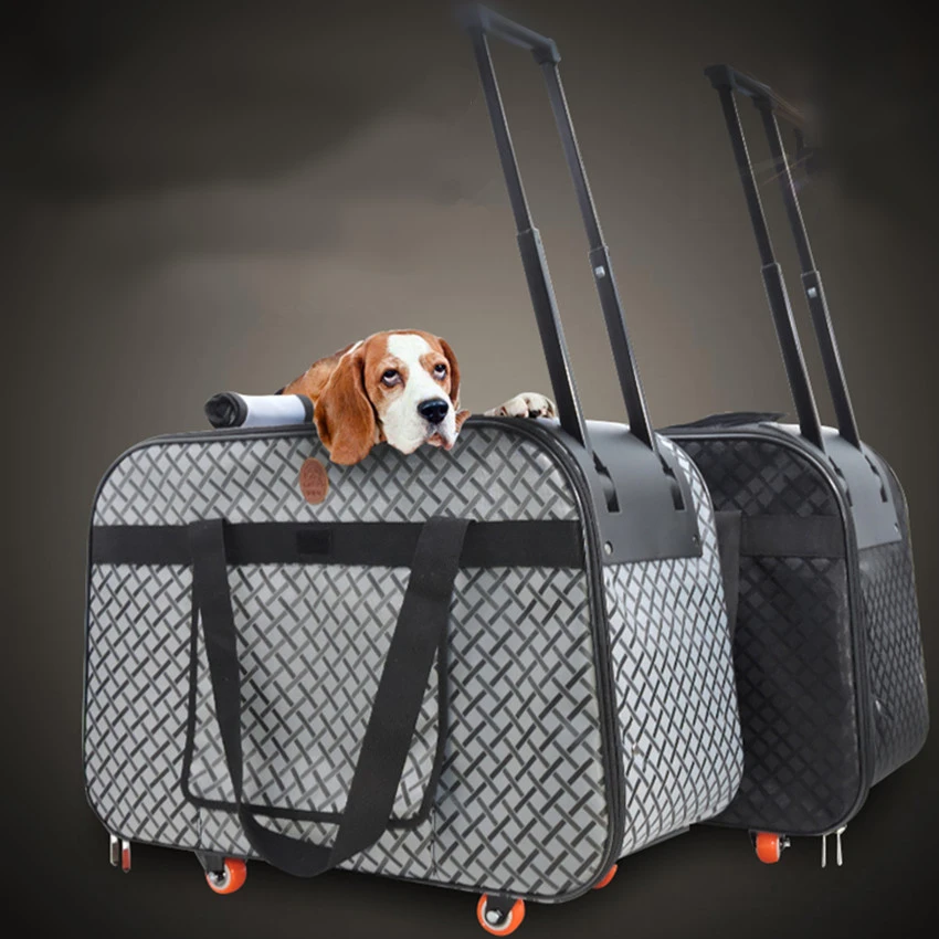 large pet travel carrier