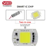 LED COB Bulb Chip 20W 30W 50W LED Lamp 230V Input IP65 Smart IC Fit For DIY Project LED Street Flood Light Cold White Warm White ► Photo 3/6