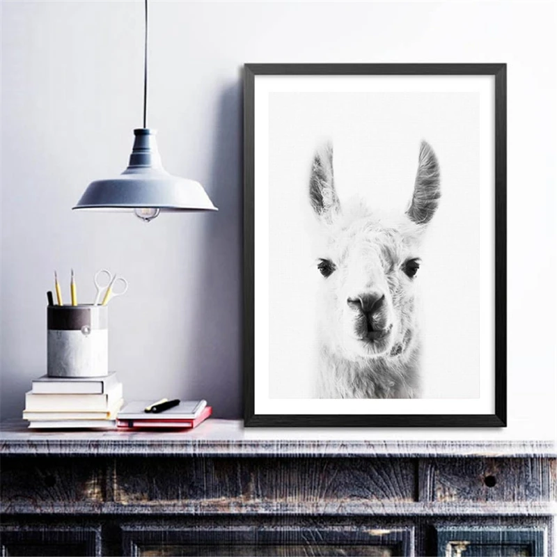 Llama Canvas Art Prints Home Decor