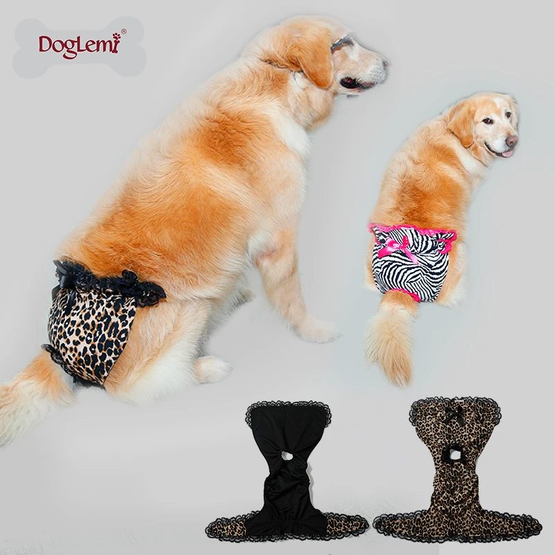 Buy Extra Large Sexy Female Dog Diapers Large Pet