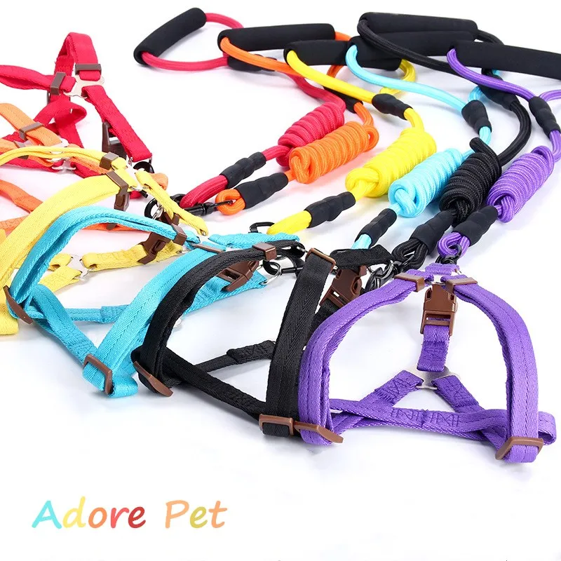 Adore Pet 2017 2 Sets Adjustable Safety Control Restraint Cat Puppy Dog