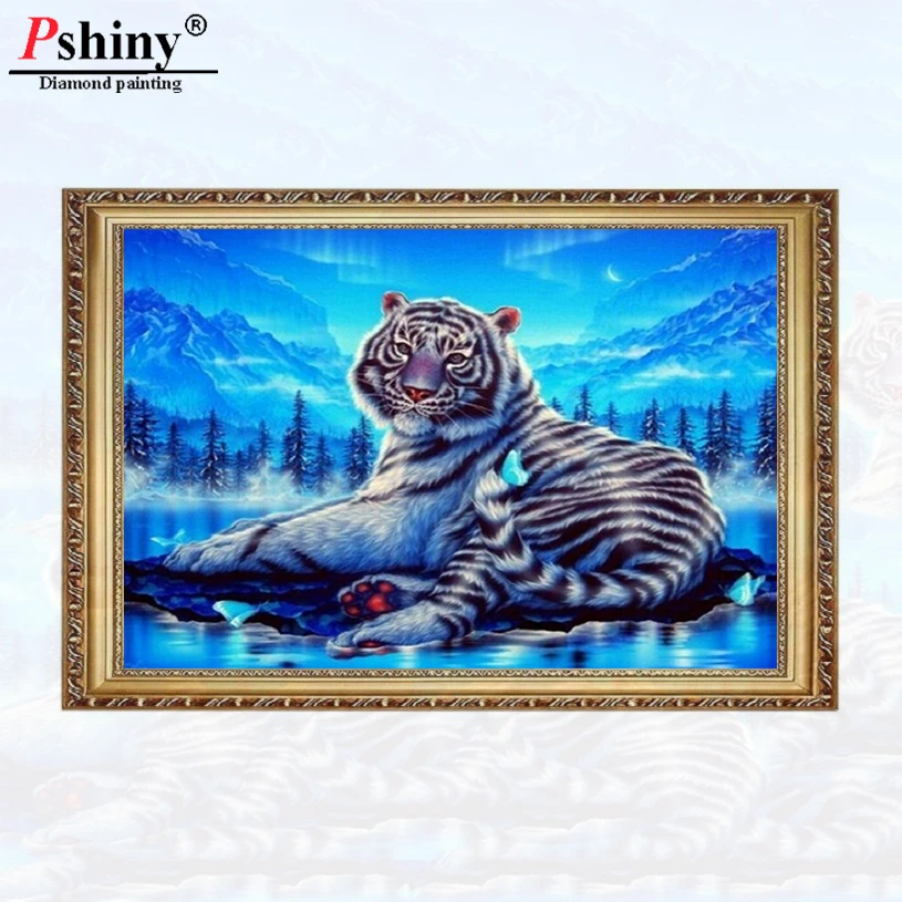 主图