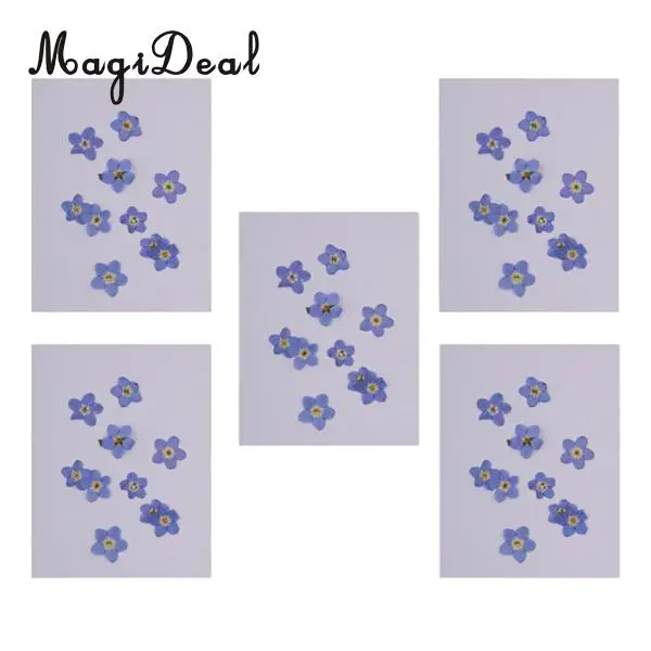50 Pieces Mini Forget-Me-Not Real Dried Flower Embellishment for Resin Casting Phone Case Nail Art Decoration Blue