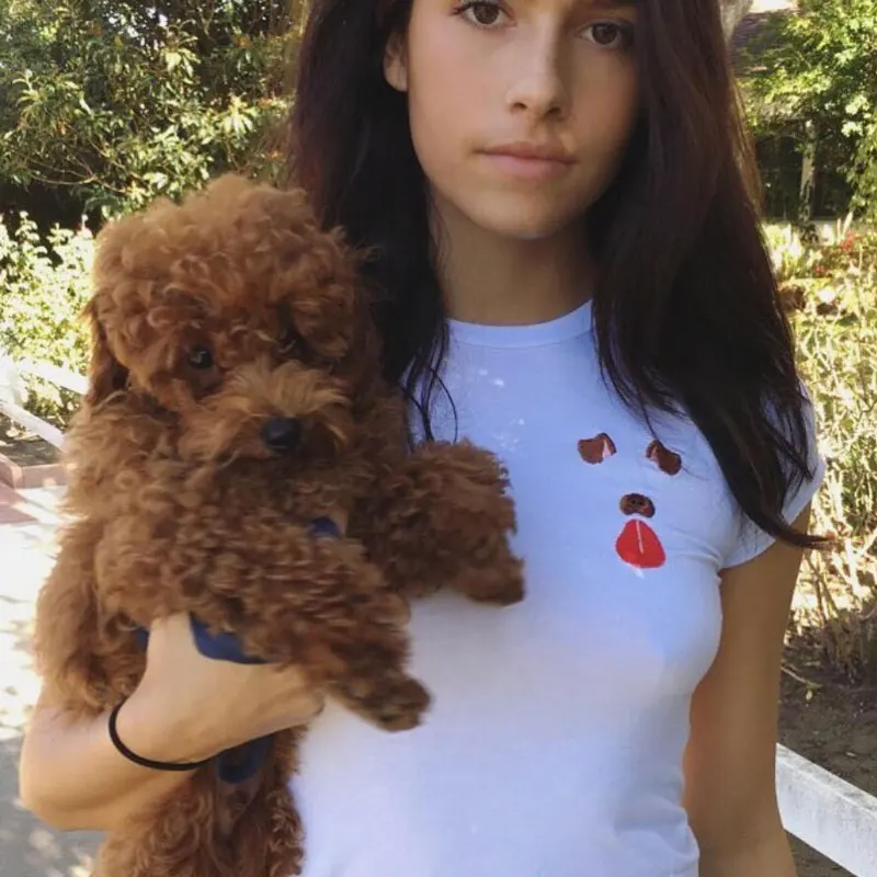 Snapchat Tumblr Popular Dog Embroidery Harajuku Cropped T Shirt
